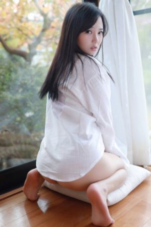 中年计划电视剧免费观看