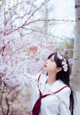 港片电视剧